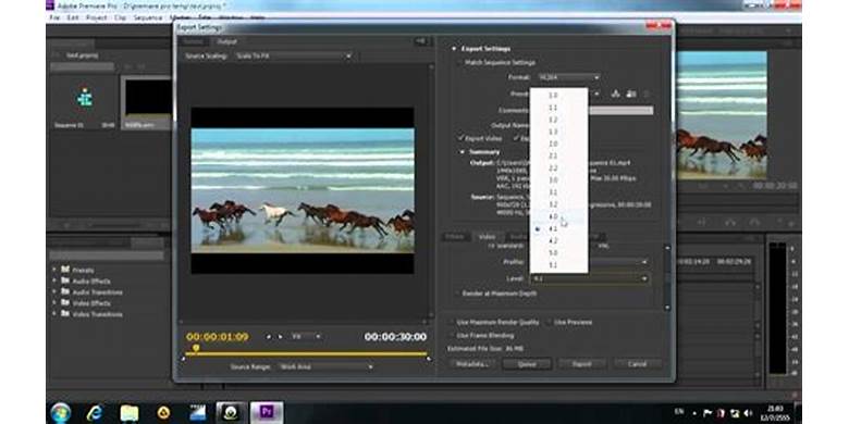 Export Adobe Premiere Pro